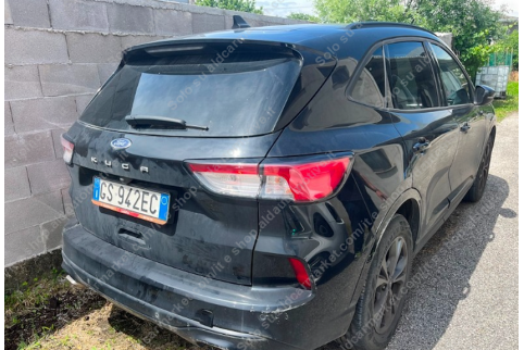 2023 Ford Kuga, Dyzelinas